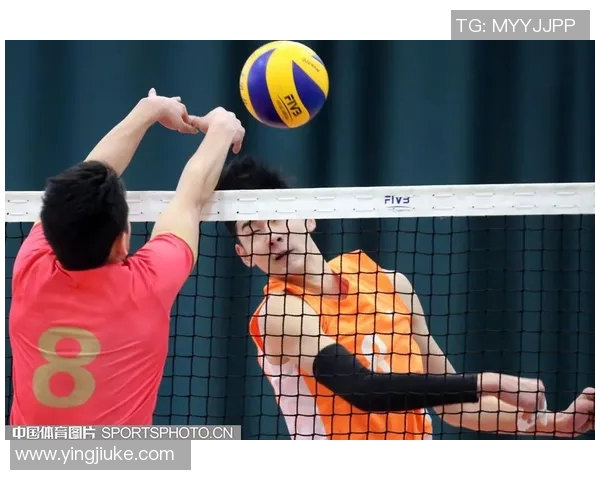 深入探讨上海排球队的战术配合与球员默契度分析 深入探讨上海排球队的战术配合与球员默契度分析