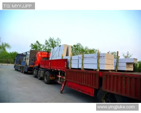 重庆羽毛球队防守革新之路:从传统到现代的全面转型与突破 重庆羽毛球队防守革新之路:从传统到现代的全面转型与突破