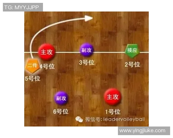 北京排球队快攻战术解析与实战应用探讨