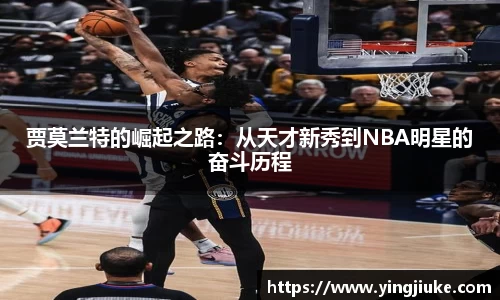 乐鱼体育官网